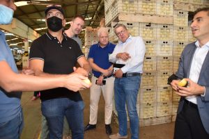 Citrus demonstration; Dutch delegation to Turkey